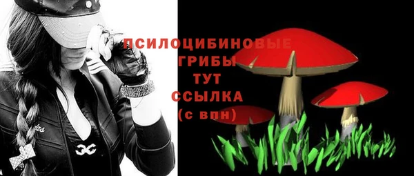 MESCALINE Надым